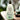 Aveeno Tone+ Texture Daily Renewing Lotion 532ml